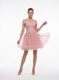 Blush Pink Floral Lace Fit & Flare Mini Dress