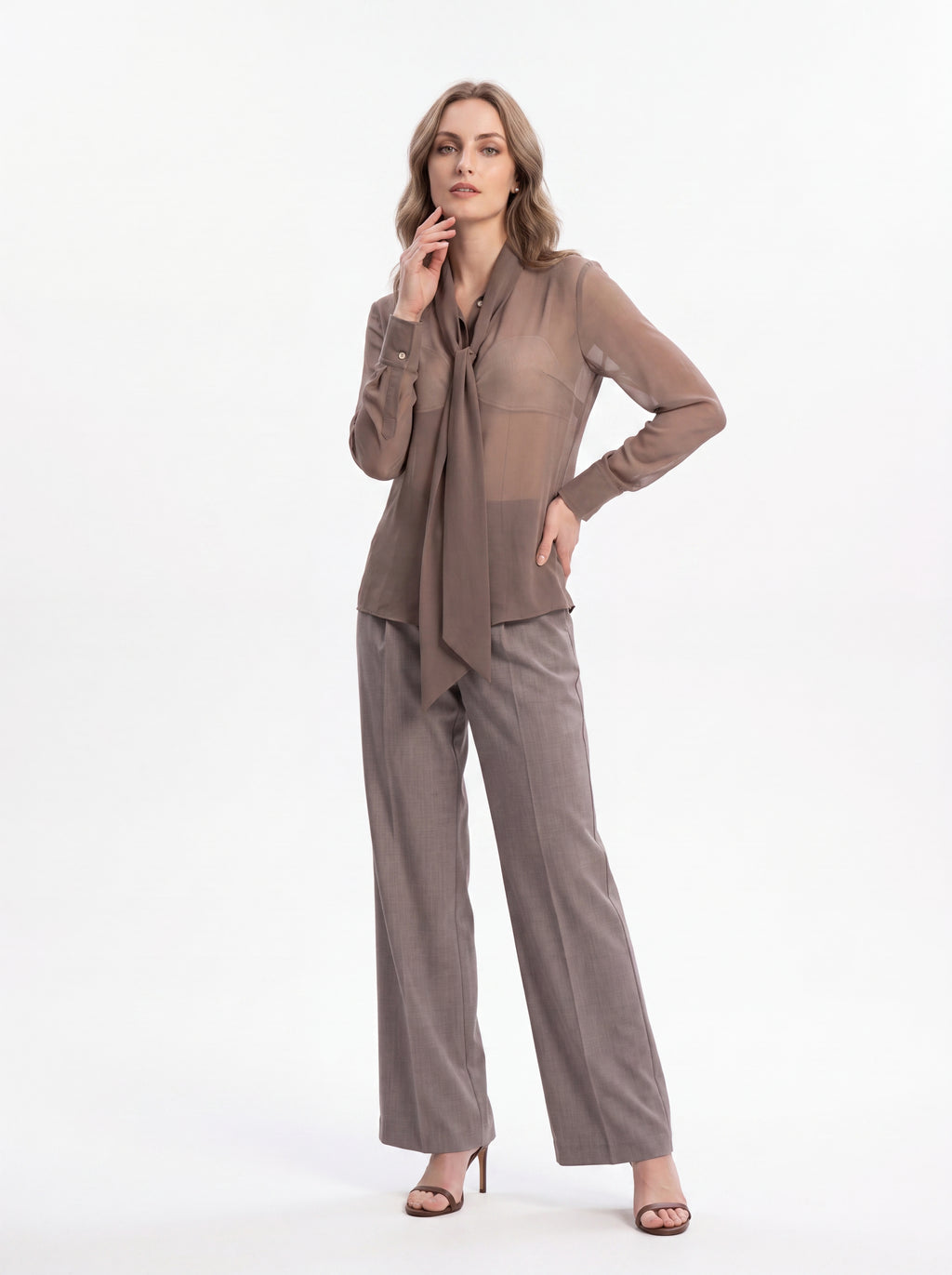 Women's Taupe Sheer Tie-Neck Blouse | Elegant Long Sleeve Chiffon Shirt