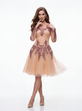 Blush Peach Embroidered Tulle Mini Dress